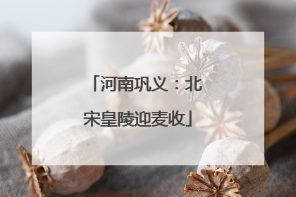 河南巩义：北宋皇陵迎麦收