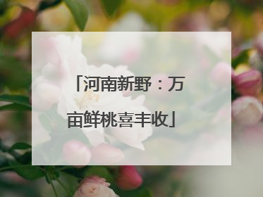 河南新野：万亩鲜桃喜丰收