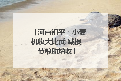 河南镇平：小麦机收大比武 减损节粮助增收