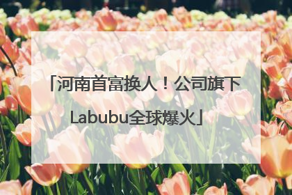 河南首富换人！公司旗下Labubu全球爆火