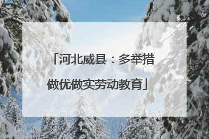 河北威县：多举措做优做实劳动教育