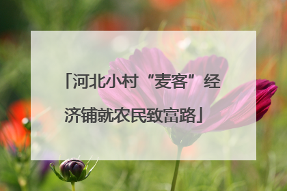 河北小村“麦客”经济铺就农民致富路
