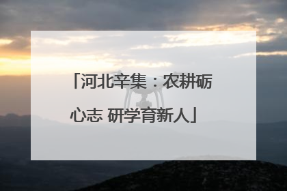 河北辛集：农耕砺心志 研学育新人