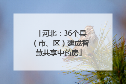 河北：36个县（市、区）建成智慧共享中药房