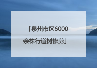 泉州市区6000余株行道树修剪
