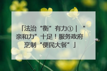 法治“衡”有力①｜“亲和力”十足！服务政府烹制“便民大餐”