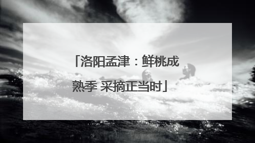 洛阳孟津：鲜桃成熟季 采摘正当时
