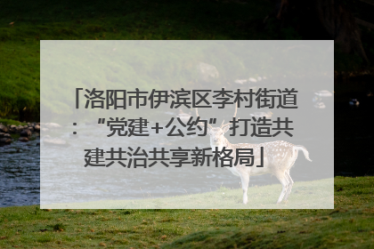 洛阳市伊滨区李村街道：“党建+公约”打造共建共治共享新格局