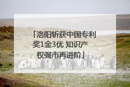 洛阳斩获中国专利奖1金3优 知识产权强市再进阶