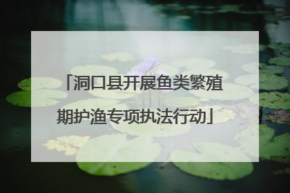 洞口县开展鱼类繁殖期护渔专项执法行动