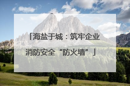 海盐于城：筑牢企业消防安全“防火墙”