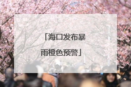 海口发布暴雨橙色预警