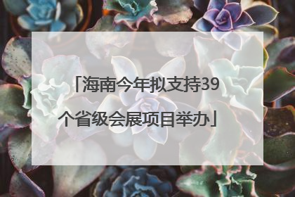 海南今年拟支持39个省级会展项目举办