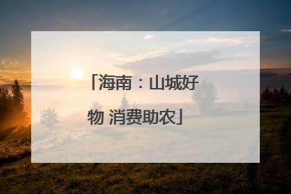 海南：山城好物 消费助农