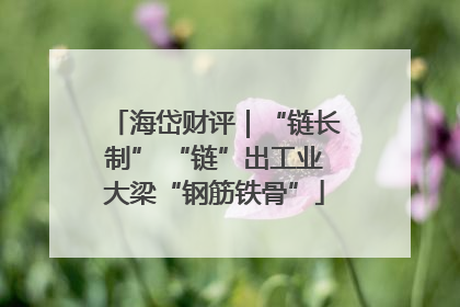 海岱财评｜“链长制” “链”出工业大梁“钢筋铁骨”