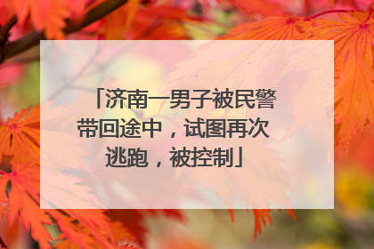 济南一男子被民警带回途中，试图再次逃跑，被控制
