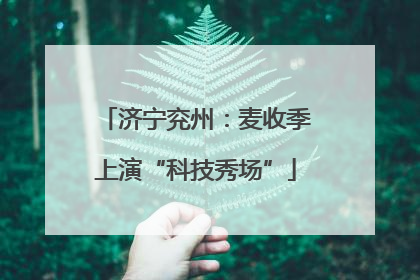 济宁兖州：麦收季上演“科技秀场”