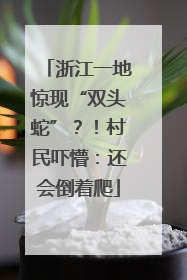 浙江一地惊现“双头蛇”？！村民吓懵：还会倒着爬