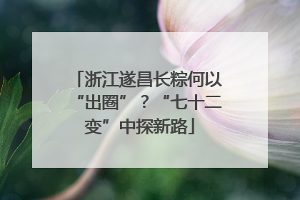 浙江遂昌长粽何以“出圈”？“七十二变”中探新路