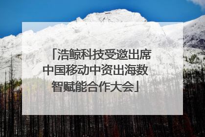 浩鲸科技受邀出席中国移动中资出海数智赋能合作大会