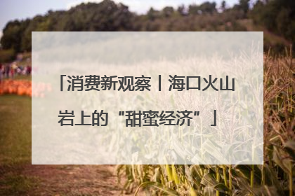 消费新观察丨海口火山岩上的“甜蜜经济”