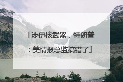 涉伊核武器，特朗普：美情报总监搞错了