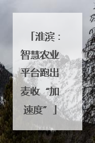 淮滨：智慧农业平台跑出麦收“加速度”