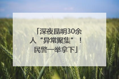 深夜昆明30余人“异常聚集”！民警一举拿下