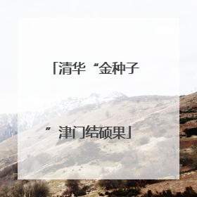 清华“金种子”津门结硕果
