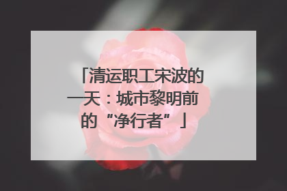 清运职工宋波的一天：城市黎明前的“净行者”