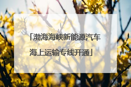 渤海海峡新能源汽车海上运输专线开通