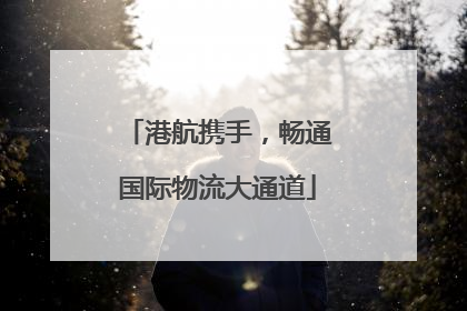 港航携手，畅通国际物流大通道