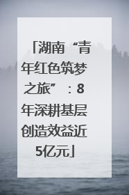 湖南“青年红色筑梦之旅”：8年深耕基层创造效益近5亿元