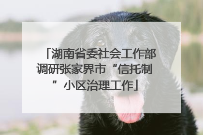 湖南省委社会工作部调研张家界市“信托制”小区治理工作