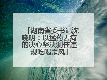 湖南省委书记沈晓明：以猛药去疴的决心坚决刹住违规吃喝歪风