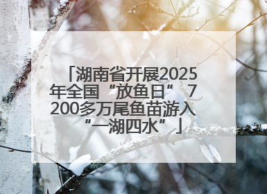 湖南省开展2025年全国“放鱼日” 7200多万尾鱼苗游入“一湖四水”