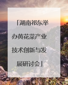 湖南祁东举办黄花菜产业技术创新与发展研讨会