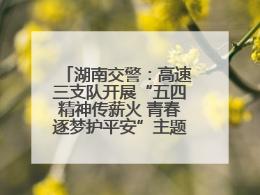 湖南交警：高速三支队开展“五四精神传薪火 青春逐梦护平安”主题实践活动
