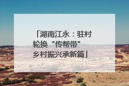 湖南江永：驻村轮换“传帮带” 乡村振兴承新篇