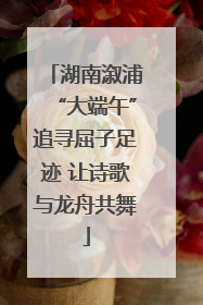 湖南溆浦“大端午”追寻屈子足迹 让诗歌与龙舟共舞