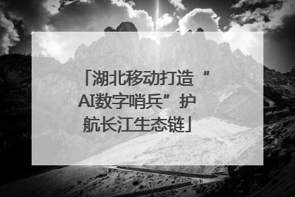 湖北移动打造“AI数字哨兵”护航长江生态链