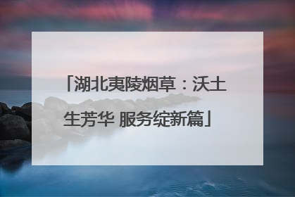 湖北夷陵烟草：沃土生芳华 服务绽新篇