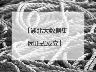 湖北大数据集团正式成立