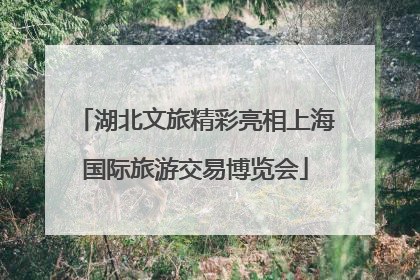 湖北文旅精彩亮相上海国际旅游交易博览会