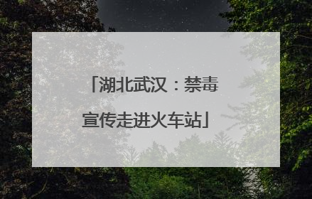 湖北武汉：禁毒宣传走进火车站