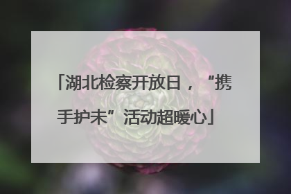 湖北检察开放日，“携手护未”活动超暖心