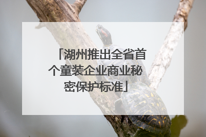 湖州推出全省首个童装企业商业秘密保护标准