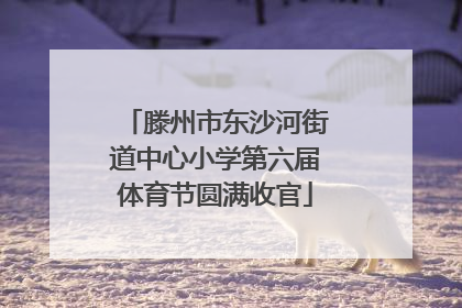 滕州市东沙河街道中心小学第六届体育节圆满收官
