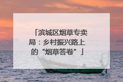 滨城区烟草专卖局：乡村振兴路上的“烟草答卷”