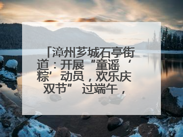漳州芗城石亭街道：开展“童谣‘粽’动员，欢乐庆双节” 过端午，庆六一活动